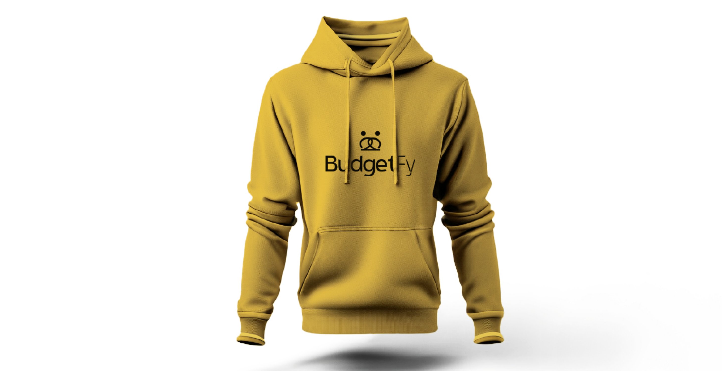 Budgetfy — página 9