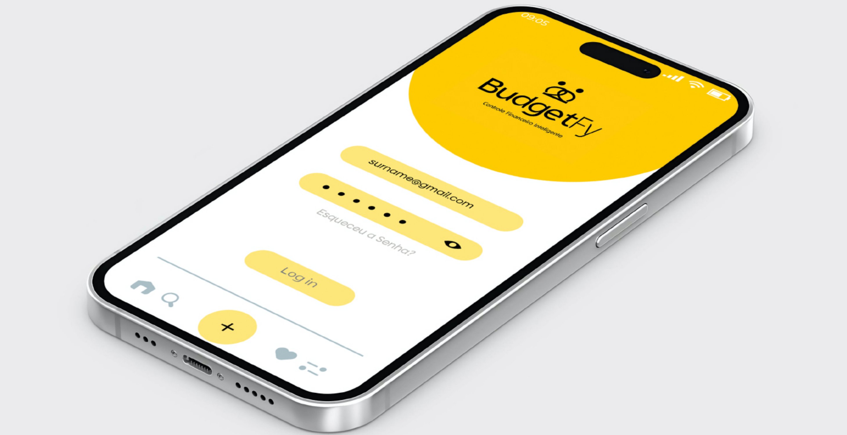 Budgetfy — página 12